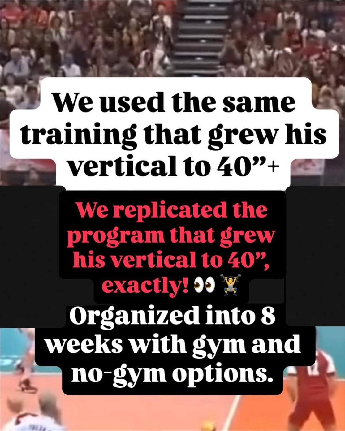 Yuji Nishida 8-Week Vertical Jump Program - Add 4-9+ Inches to your Vertical