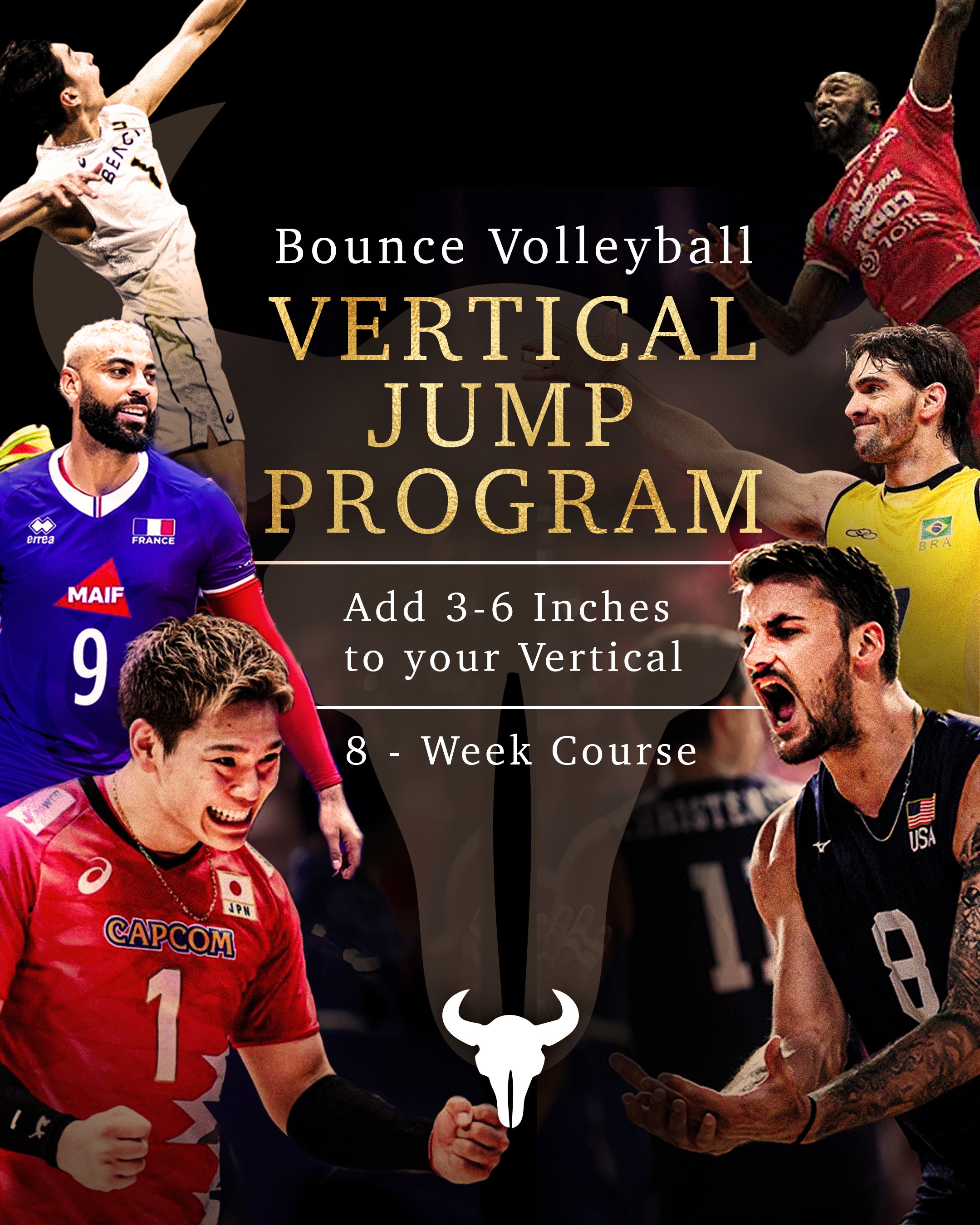 Bounce Volleyball's Vertical Jump Program - Add 3-6 Inches to Your Vertical - 8 Week Course